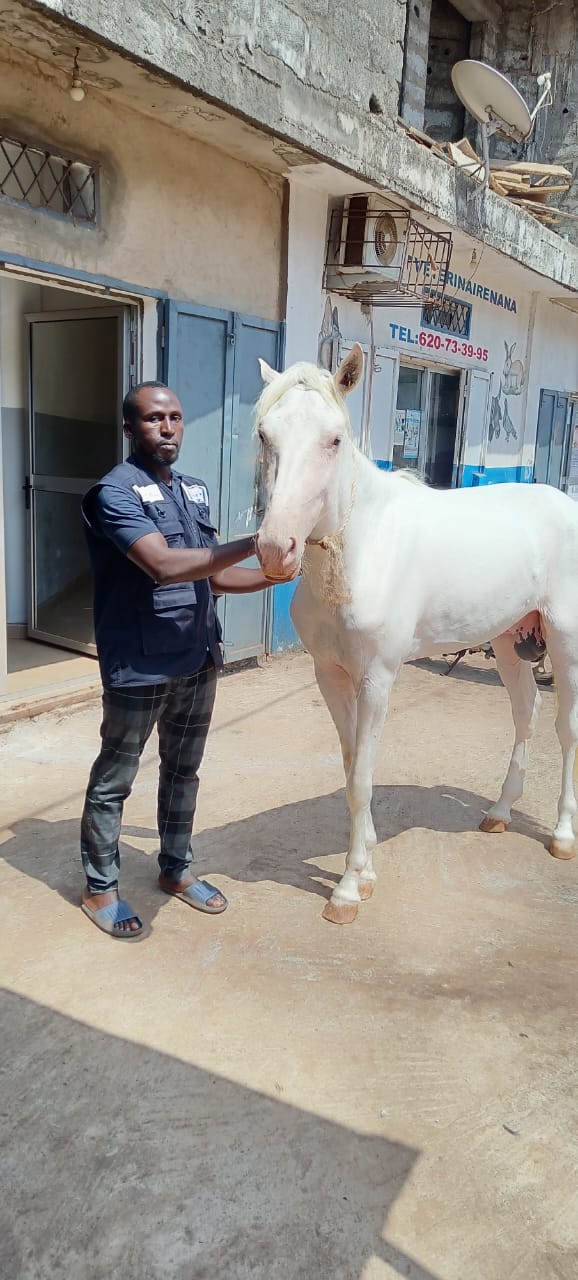 Vétérinaire et cheval devant le cabinet