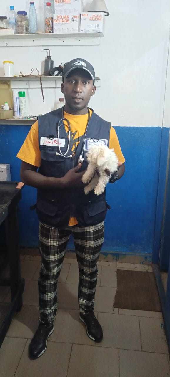Vétérinaire tenant un chiot